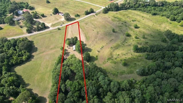 2361 County Road 40th Rd W, Billingsley, AL 36006 - photo 34