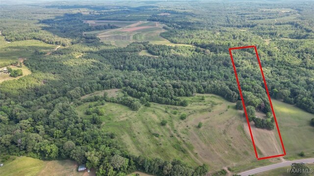 2361 County Road 40th Rd W, Billingsley, AL 36006 - photo 36