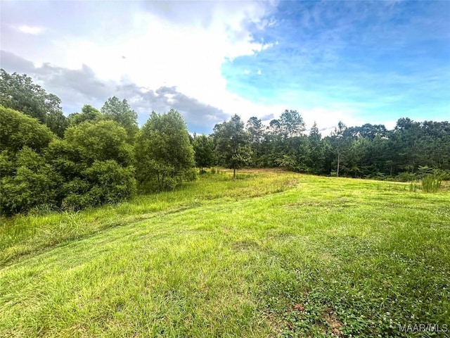 516 Jones Farm Rd, Camden, AL 36726 - view of yard featuring a wooded view and a view of countryside