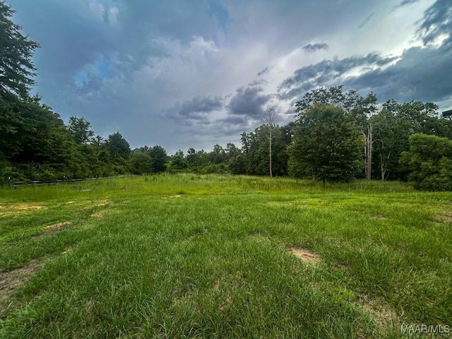 516 Jones Farm Rd, Camden, AL 36726 - view of yard with a view of trees and a view of rural / pastoral area