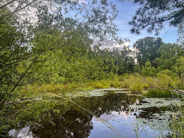 516 Jones Farm Rd, Camden, AL 36726 - view of woods