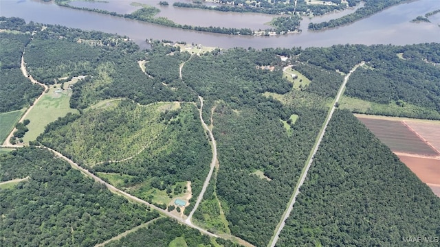 516 Jones Farm Rd, Camden, AL 36726 - view of property location featuring a nearby body of water
