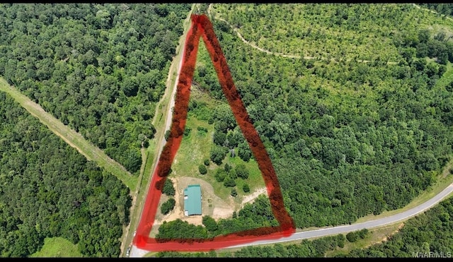 516 Jones Farm Rd, Camden, AL 36726 - aerial view of property and surrounding area with property boundaries highlighted and a forest