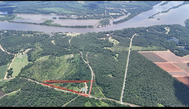 516 Jones Farm Rd, Camden, AL 36726 - bird's eye view of a nearby body of water and a heavily wooded area