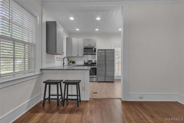 844 E Edgemont Ave, Montgomery, AL 36111 - kitchen featuring stainless steel appliances, dark wood-style floors, gray cabinets, plenty of natural light, and recessed lighting