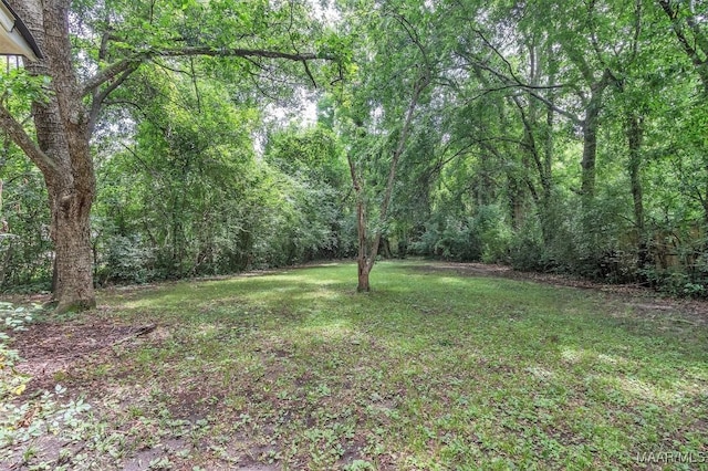 844 E Edgemont Ave, Montgomery, AL 36111 - view of green lawn featuring a wooded view