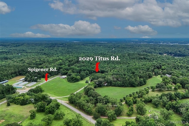 2029 Titus Rd, Titus, AL 36080 - photo 27