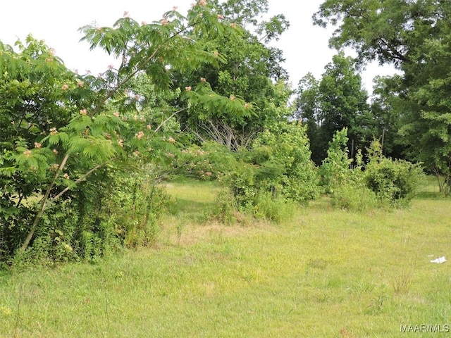 0 S Old Central Rd, Greenville, AL 36037
