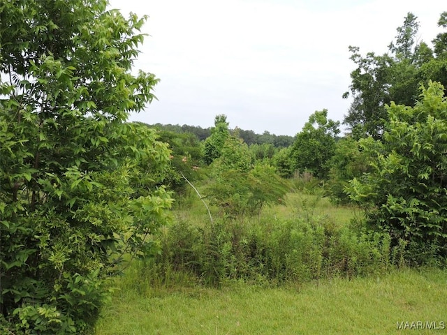 0 S Old Central Rd, Greenville, AL 36037