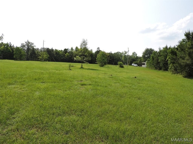 0 S Old Central Rd, Greenville, AL 36037