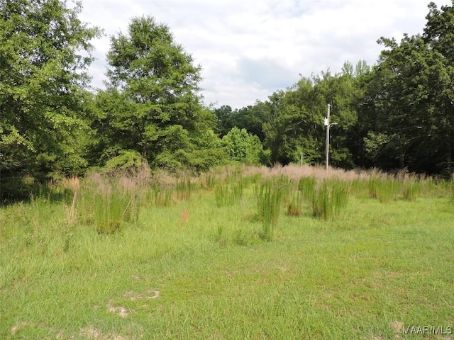 0 S Old Central Rd, Greenville, AL 36037