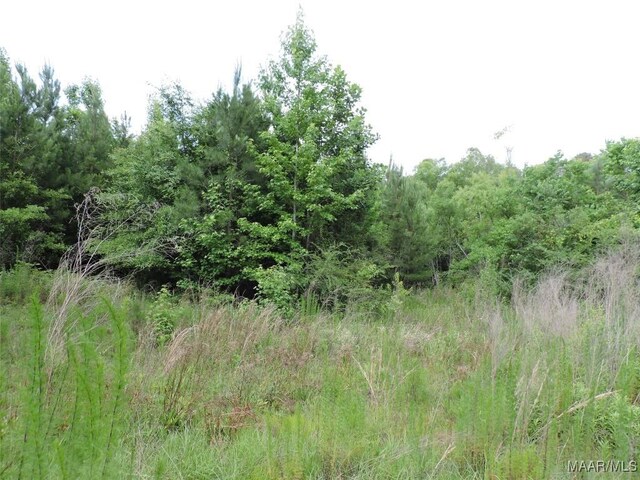0 S Old Central Rd, Greenville, AL 36037