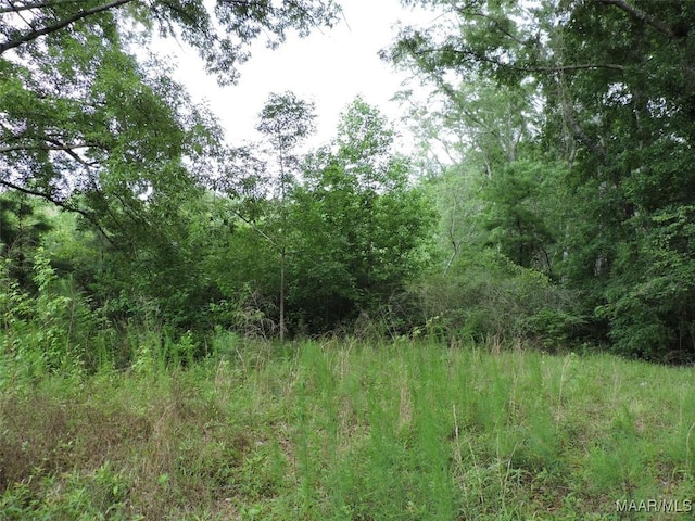 0 S Old Central Rd, Greenville, AL 36037
