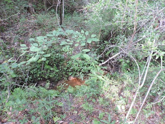 0 S Old Central Rd, Greenville, AL 36037