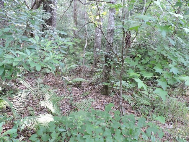 0 S Old Central Rd, Greenville, AL 36037