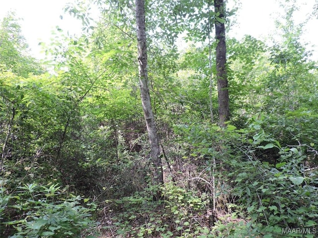0 S Old Central Rd, Greenville, AL 36037