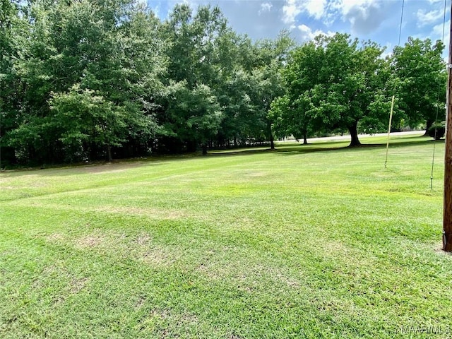 5240 Airport Rd, Millbrook, AL 36054 - view of green lawn featuring view of scattered trees