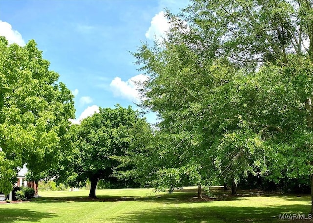 5240 Airport Rd, Millbrook, AL 36054 - view of green lawn
