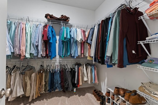 904 Hedgefield Way, Prattville, AL 36066 - spacious closet featuring carpet floors