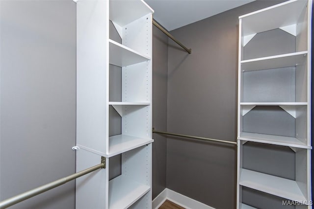 11056 Central Plank Rd, Eclectic, AL 36024 - view of walk in closet