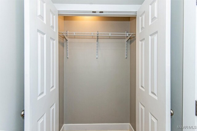 11056 Central Plank Rd, Eclectic, AL 36024 - view of closet