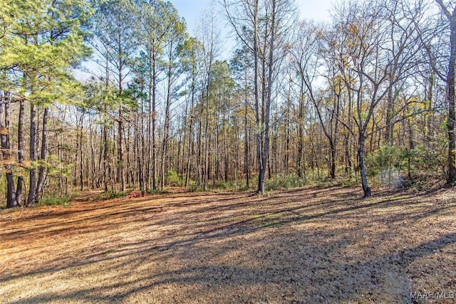 11056 Central Plank Rd, Eclectic, AL 36024 - view of yard featuring a wooded view