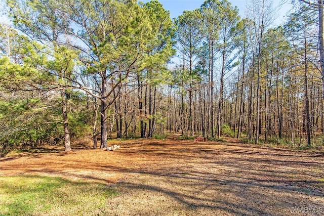11056 Central Plank Rd, Eclectic, AL 36024 - view of yard with a wooded view