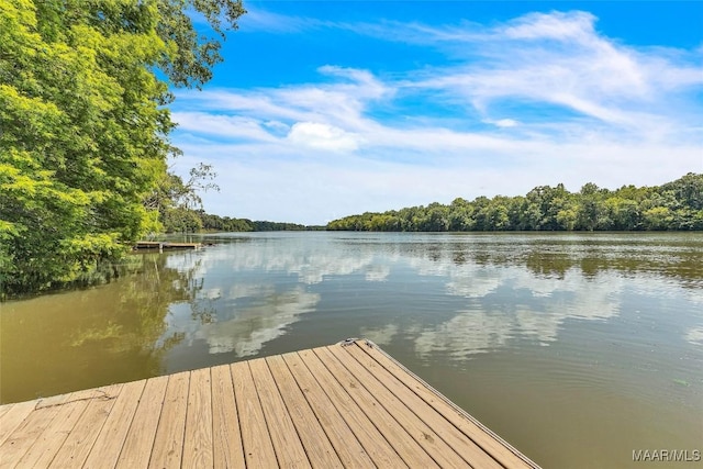 374 County Road 21 S, Prattville, AL 36067 - photo 19
