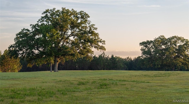 2 Moore Rd, Grady, AL 36036 - photo 2