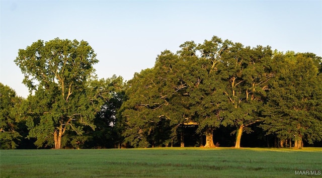 2 Moore Rd, Grady, AL 36036 - photo 3