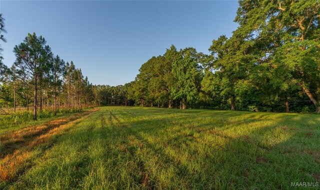 2 Moore Rd, Grady, AL 36036 - photo 4