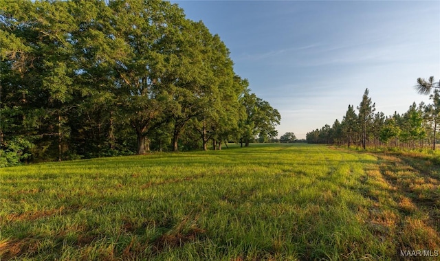 2 Moore Rd, Grady, AL 36036 - photo 5