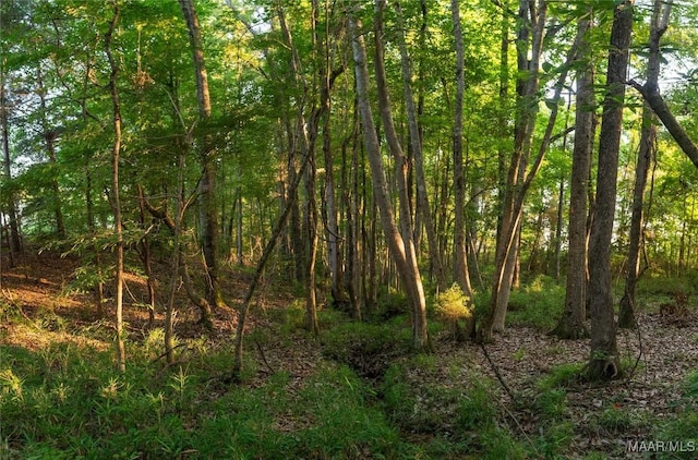 2 Moore Rd, Grady, AL 36036 - photo 6