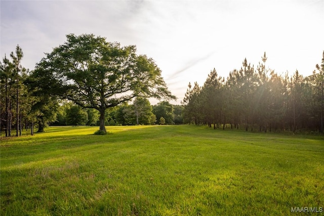 2 Moore Rd, Grady, AL 36036 - photo 8