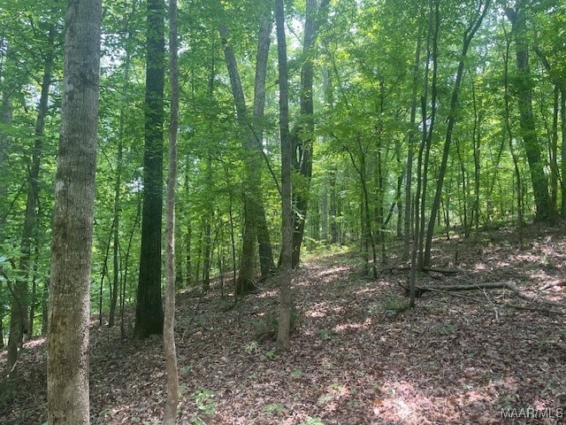 5000 County Road 55th Rd, Camp Hill, AL 36850