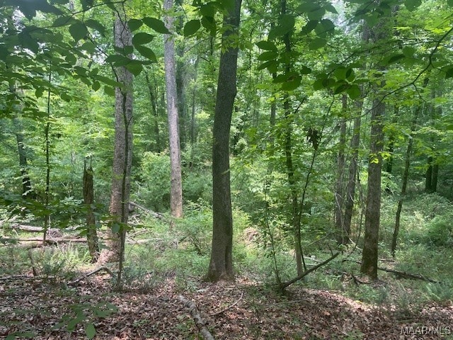 5000 County Road 55th Rd, Camp Hill, AL 36850