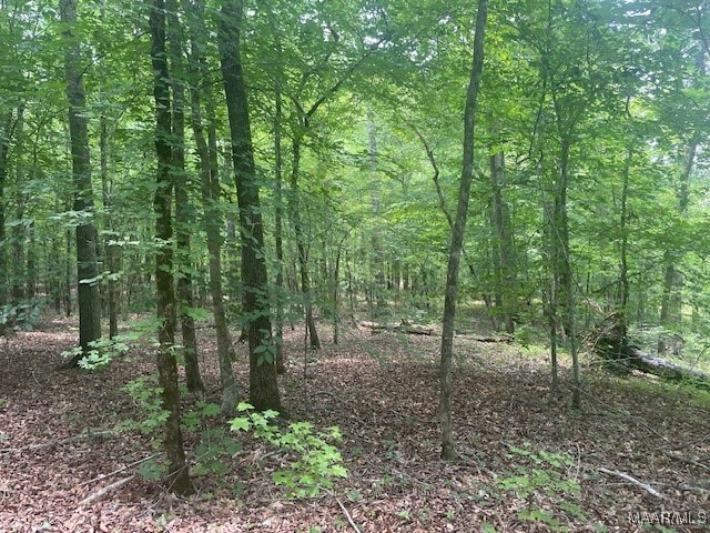 5000 County Road 55th Rd, Camp Hill, AL 36850