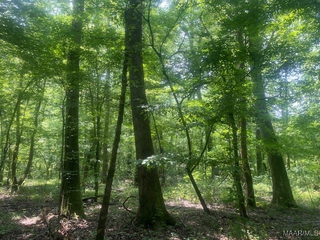 5000 County Road 55th Rd, Camp Hill, AL 36850