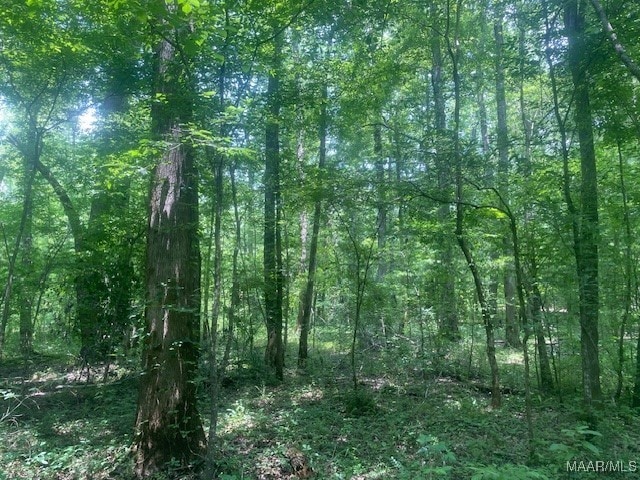 5000 County Road 55th Rd, Camp Hill, AL 36850