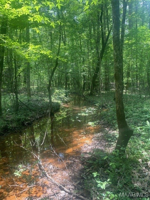 5000 County Road 55th Rd, Camp Hill, AL 36850