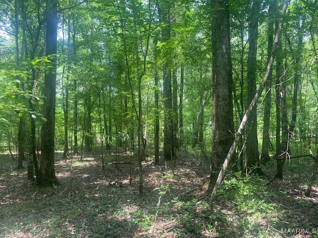 5000 County Road 55th Rd, Camp Hill, AL 36850