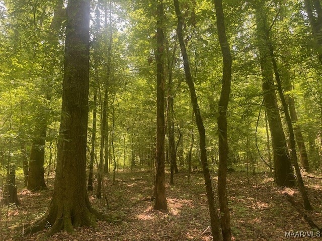 5000 County Road 55th Rd, Camp Hill, AL 36850
