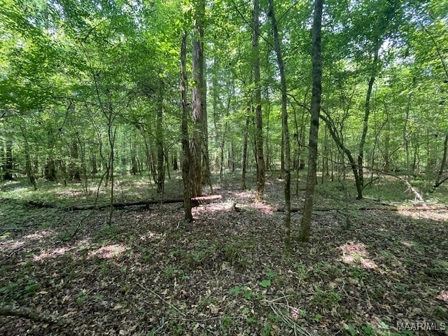 5000 County Road 55th Rd, Camp Hill, AL 36850