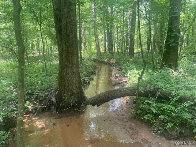 5000 County Road 55th Rd, Camp Hill, AL 36850