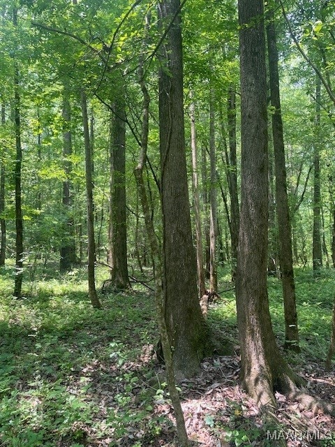 5000 County Road 55th Rd, Camp Hill, AL 36850
