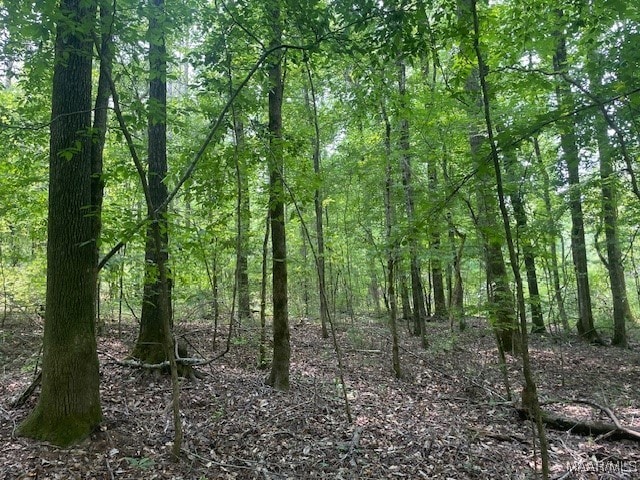 5000 County Road 55th Rd, Camp Hill, AL 36850