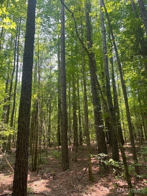 5000 County Road 55th Rd, Camp Hill, AL 36850