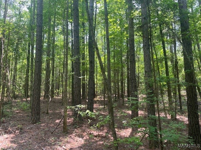 5000 County Road 55th Rd, Camp Hill, AL 36850