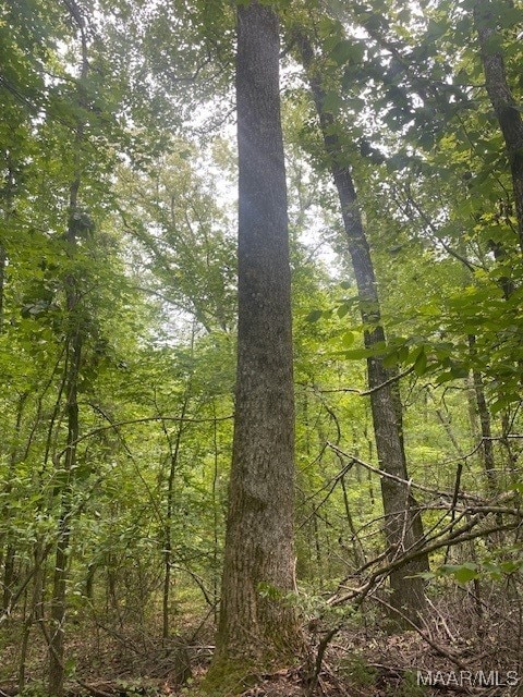 5000 County Road 55th Rd, Camp Hill, AL 36850