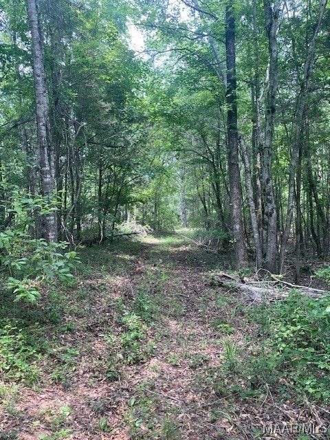 5000 County Road 55th Rd, Camp Hill, AL 36850